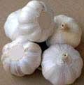 chinese garlic